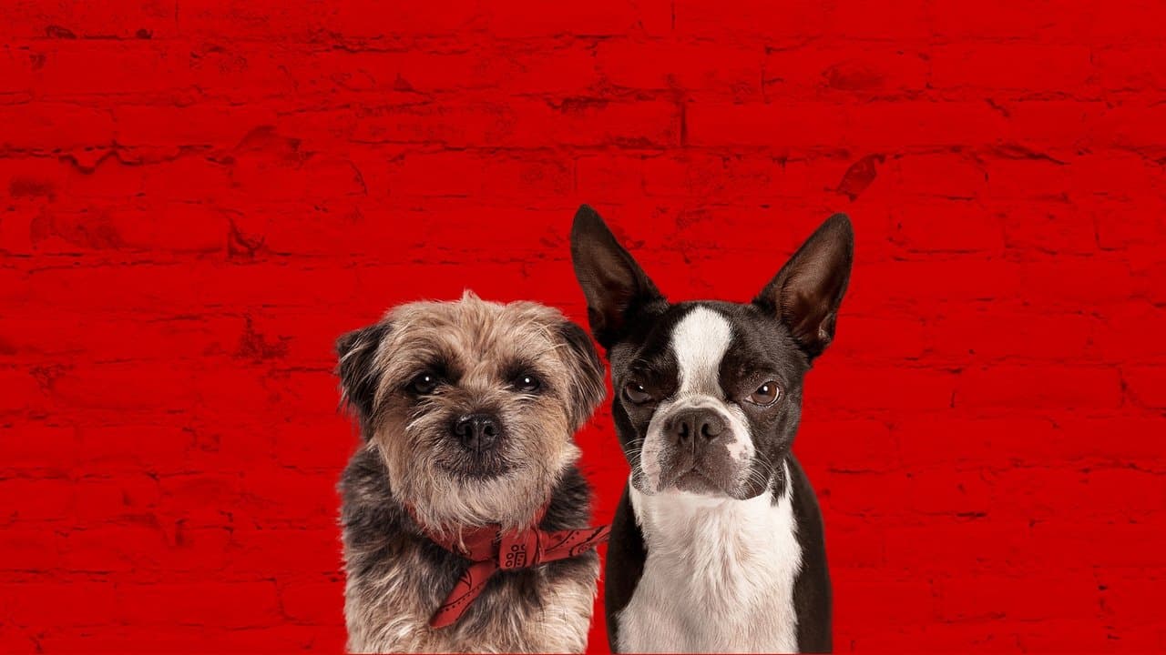 Backdrop de Ruim pra Cachorro
