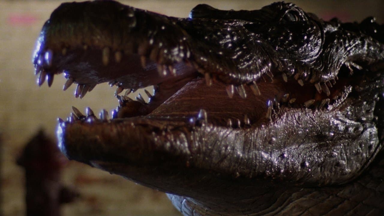 Backdrop de Alligator: O Jacaré Gigante