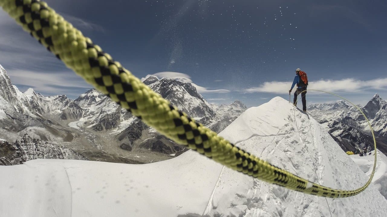 Backdrop de Sherpa