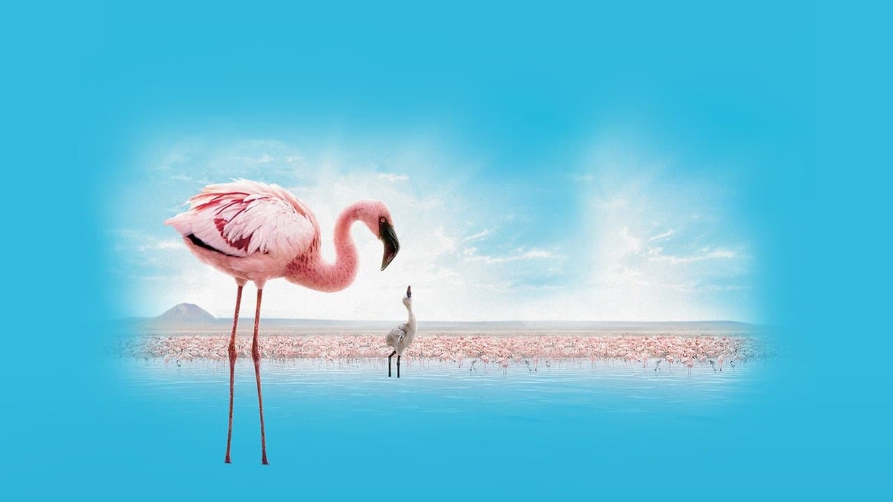 Backdrop de Grande Balé Vermelho: O Mistério dos Flamingos