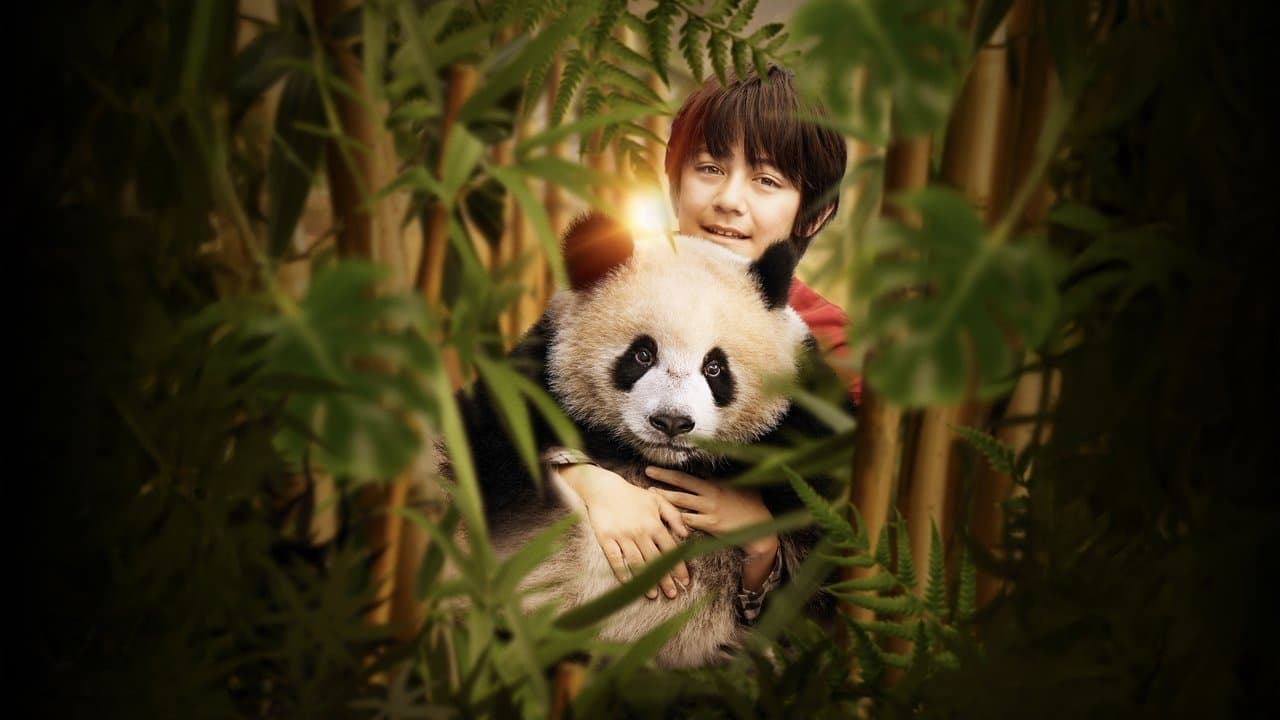 Backdrop de O Menino e o Panda