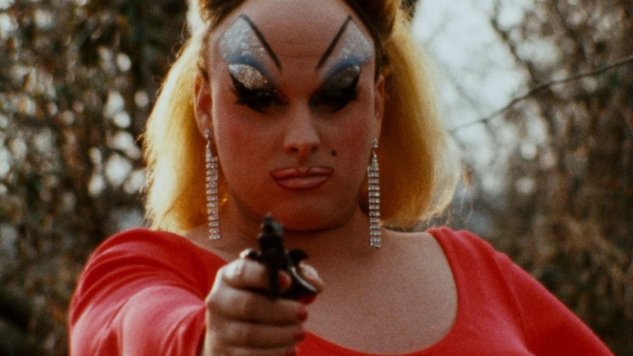 Backdrop de Pink Flamingos