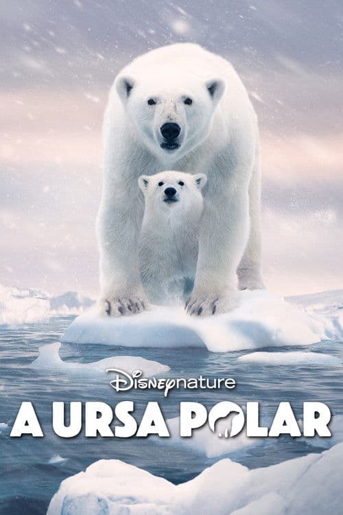 Poster de A Ursa Polar