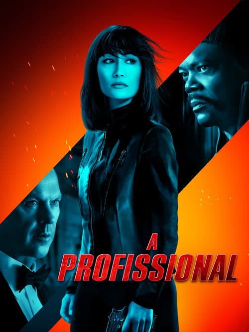 Poster de A Profissional