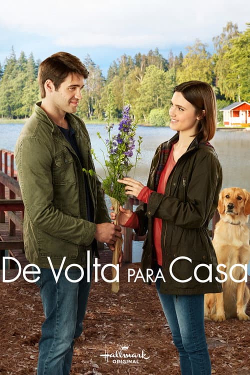 Poster de De Volta para Casa