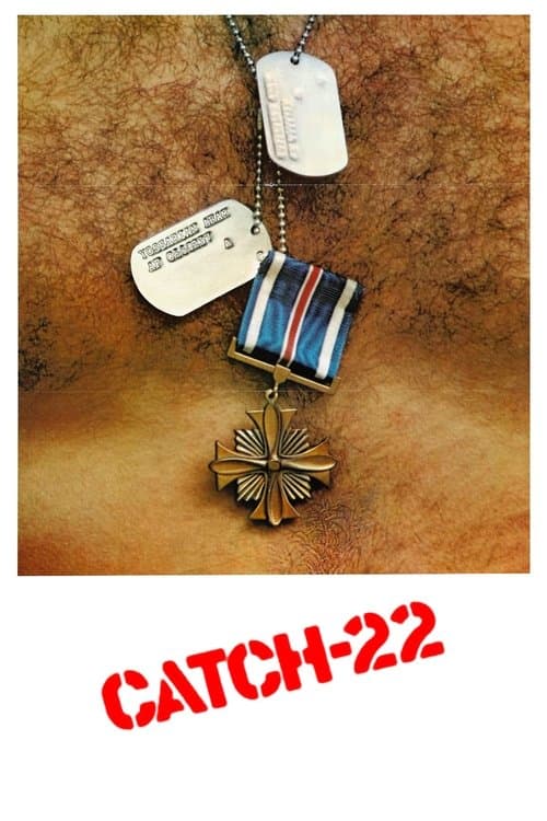 Poster de Ardil 22