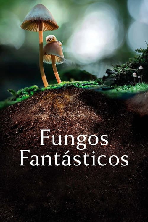 Poster de Fungos Fantásticos