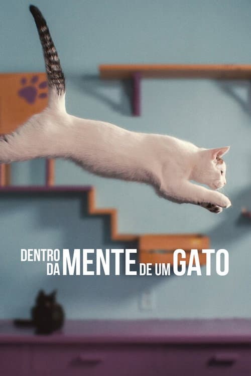 Poster de Dentro da Mente de um Gato