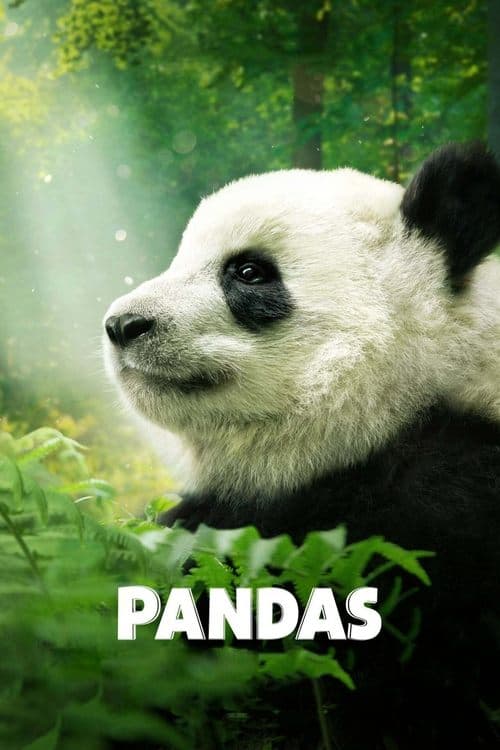 Poster de Pandas