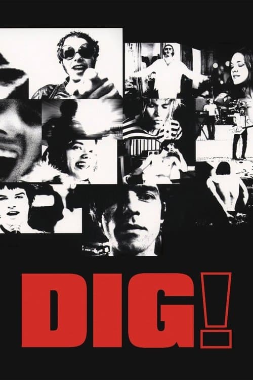 Poster de Dig!