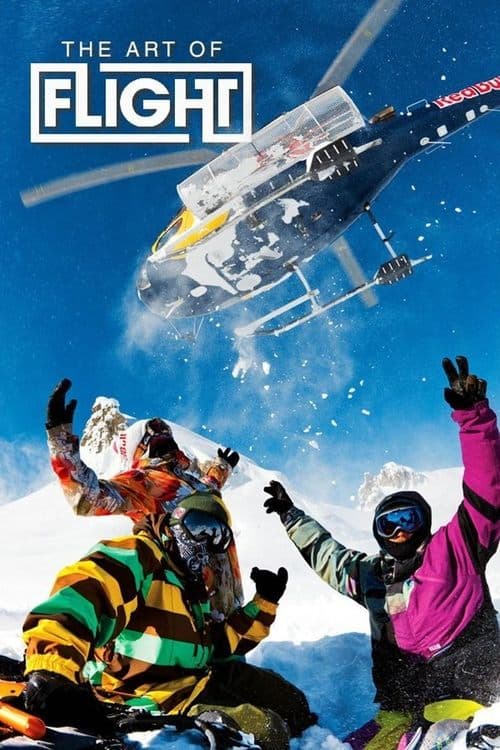 Poster de A Arte de Voar