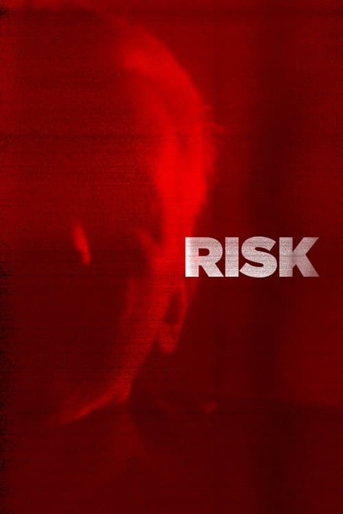 Poster de Risk
