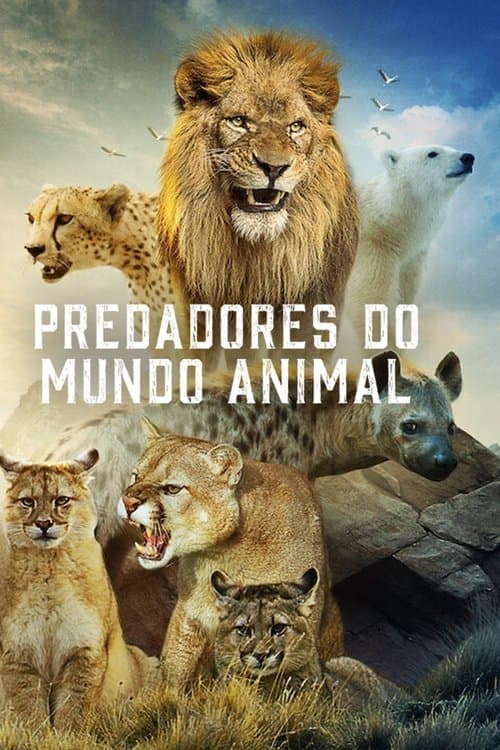 Poster de Predadores do Mundo Animal