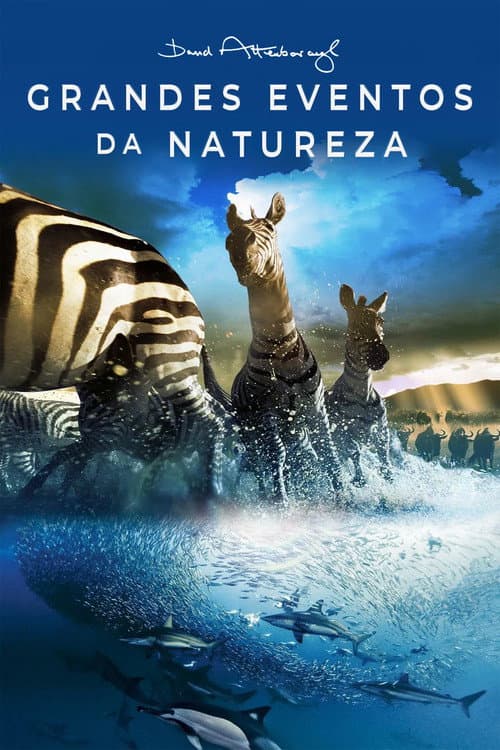 Poster de Grandes Eventos da Natureza