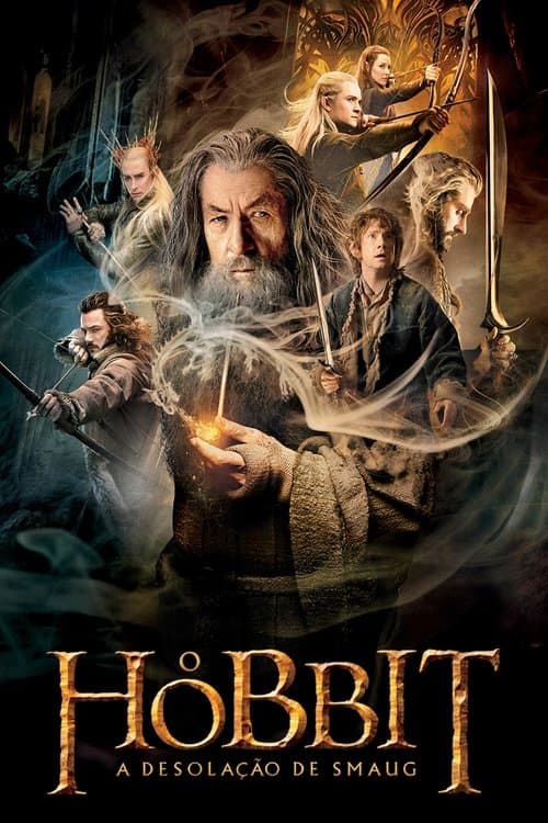 Poster de O Hobbit: A Desolação de Smaug