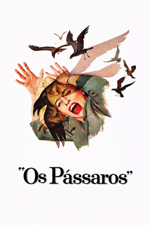 Poster de Os Pássaros